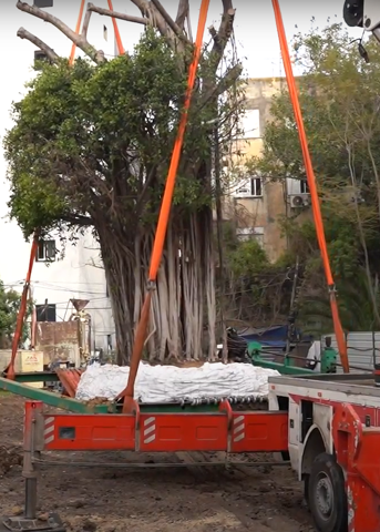 צילום מסך מעבודת וידאו באוסף סיפורי העיר