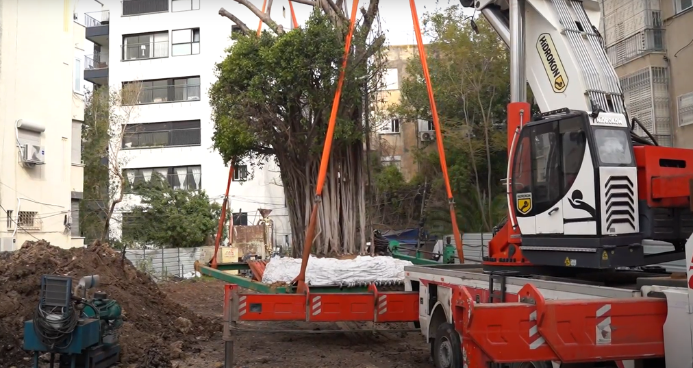 צילום מסך מעבודת וידאו באוסף סיפורי העיר